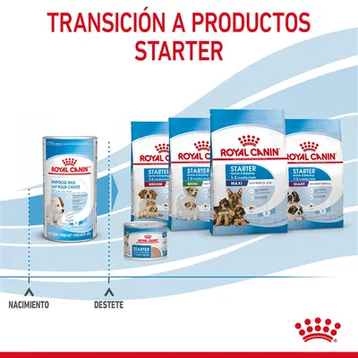 Transición a productos Starter Royal Canin: Babydog Milk, Starter Medium, Mini, Maxi, Giant y lata Starter. Texto visible: nacimiento, destete.