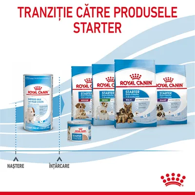 Tranziție către produsele starter Royal Canin: lapte praf Babydog Milk, conserve Starter Mousse și pungi Starter pentru Mini, Medium, Maxi, Giant. Text vizibil: naștere, înțărcare. Tranziție către produsele starter Royal Canin: lapte praf Babydog Milk, conserve Starter Mousse și pungi Starter pentru Mini, Medium, Maxi, Giant. Text vizibil: naștere, înțărcare.