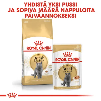 ROYAL CANIN British Shorthair Adult -kuivaruokapakkaus ja märkäruokapussi. Teksti: Yhdistä yksi pussi ja sopiva määrä nappuloita päiväannokseksi.