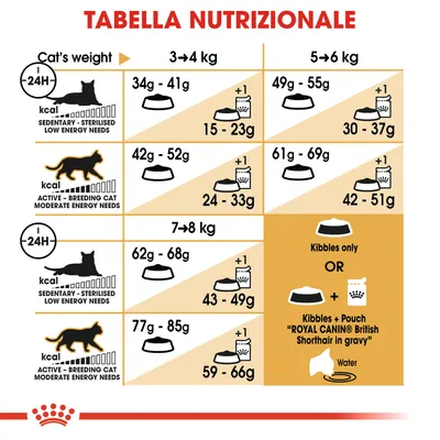 Tabella nutrizionale per gatti: dosi giornaliere di crocchette e umido in base al peso (3–8 kg) e livello di attività. Include opzioni solo crocchette o crocchette più bustina e acqua.