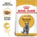 Royal Canin British Shorthair Adult