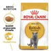 Royal Canin British Shorthair Adult