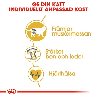 Ge din katt individuellt anpassad kost. Främjar muskelmassan, stärker ben och leder, hjärthälsa. Illustrationer av katt, leder och hjärta med pulslinje.