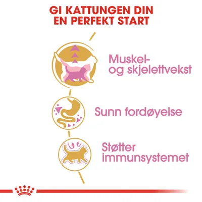 Royal Canin British Shorthair Kitten