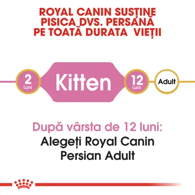 Royal Canin susține pisica dvs. persană pe toată durata vieții. Kitten 2–12 luni. După vârsta de 12 luni: Alegeți Royal Canin Persian Adult.