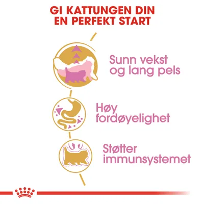 Royal Canin Persian Kitten