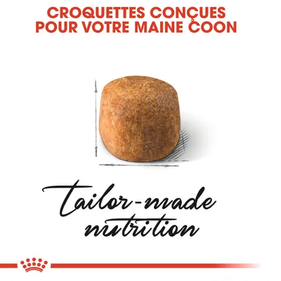 Texte : Croquettes conçues pour votre Maine Coon. Texte en anglais : tailor-made nutrition. Image d’une croquette individuelle avec schéma de dimensions.