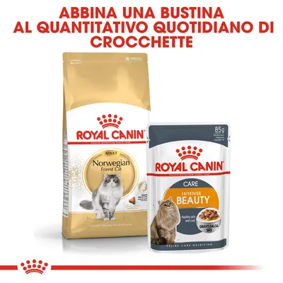 ROYAL CANIN Norwegian Forest Cat Adult e ROYAL CANIN Intense Beauty Care 85g. Testo: Abbina una bustina al quantitativo quotidiano di crocchette.