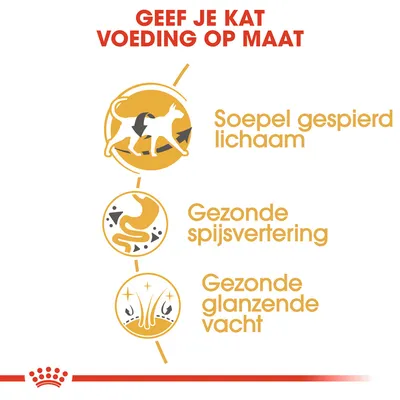 Tekst: Geef je kat voeding op maat. Soepel gespierd lichaam, gezonde spijsvertering, gezonde glanzende vacht.