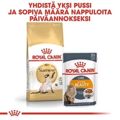 ROYAL CANIN Siamese Adult -kuivaruoka ja Intense Beauty -märkäruoka. Teksti: Yhdistä yksi pussi ja sopiva määrä nappuloita päiväannokseksi.