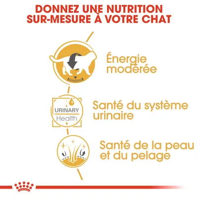 Donnez une nutrition sur-mesure à votre chat : énergie modérée, santé du système urinaire, santé de la peau et du pelage. Texte en anglais : URINARY Health.