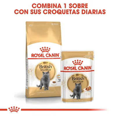ROYAL CANIN Adult British Shorthair pienso y sobre húmedo para gatos. Texto visible: Combina 1 sobre con sus croquetas diarias. Sobre de 85 g.