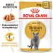 Royal Canin British Shorthair Adult w sosie
