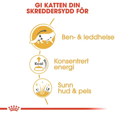 Royal Canin Maine Coon Adult i saus