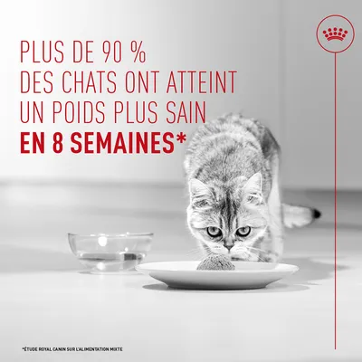 Plus de 90 % des chats ont atteint un poids plus sain en 8 semaines. D'après une étude Royal Canin sur l'alimentation mixte. Plus de 90 % des chats ont atteint un poids plus sain en 8 semaines. D'après une étude Royal Canin sur l'alimentation mixte.