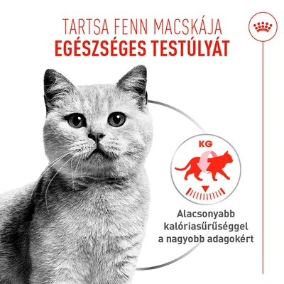 Royal Canin Light Weight Care AirLift Mousse