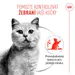 Royal Canin Appetite Control Care AirLift Mousse