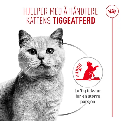 Royal Canin Appetite Control Care AirLift Mousse Royal Canin Appetite Control Care AirLift Mousse