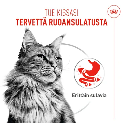 Grafiikka kissasta, teksti: Tue kissasi tervettä ruoansulatusta, Erittäin hyvin sulava, Symboli ruoansulatukselle.