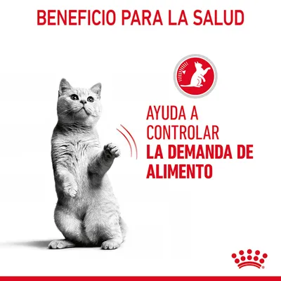 Texto: Beneficio para la salud. Ayuda a controlar la demanda de alimento. Imagen de un gato gris erguido y símbolo rojo con silueta de gato. Marca Royal Canin visible.