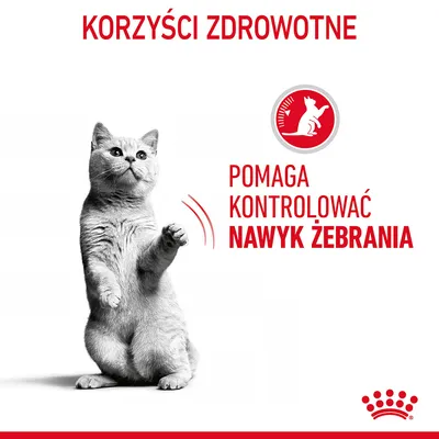Korzyści zdrowotne. Pomaga kontrolować nawyk żebrania – tekst i grafika kota na dwóch łapach, czerwony symbol z kotem.