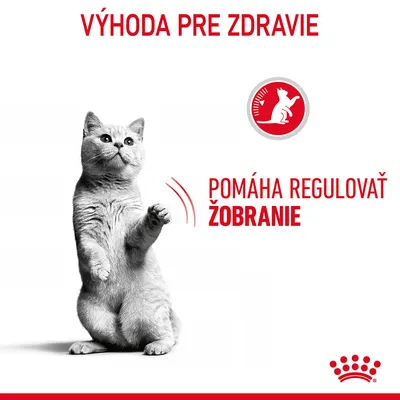 Výhoda pre zdravie. Pomáha regulovať žobranie. Obrázok mačky a červený symbol s mačkou. Značka Royal Canin.
