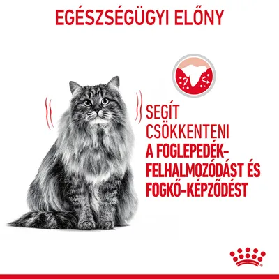Egészségügyi előny: Segít csökkenteni a foglepedék-felhalmozódást és fogkő-képződést. Fekete-fehér hosszúszőrű macska, Royal Canin logóval.