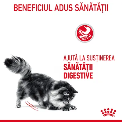 Beneficiul adus sănătății. Ajută la susținerea sănătății digestive. Imagine cu o pisică și simbol digestiv. Text în limba română.