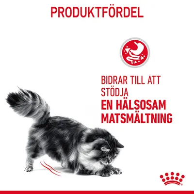 Text: Produktfördel. Bidrar till att stödja en hälsosam matsmältning. Bild på katt och ikon med mage.