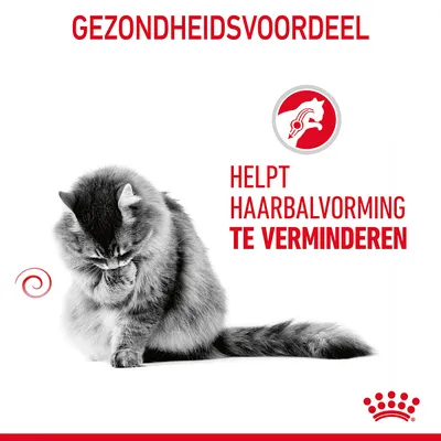GEZONDHEIDSVOORDEEL. Helpt haarbalvorming te verminderen. Afbeelding van een kat en Royal Canin merkicoon.