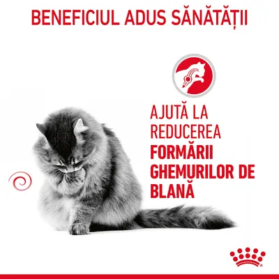 Beneficiul adus sănătății: ajută la reducerea formării ghemurilor de blană. Imagine cu o pisică și sigla Royal Canin.
