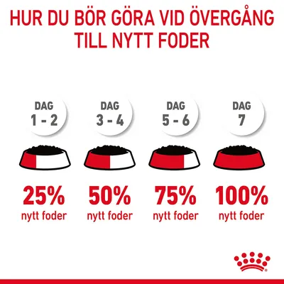 Utfodringsschema vid byte till nytt foder: dag 1–2, 25 % nytt foder; dag 3–4, 50 %; dag 5–6, 75 %; dag 7, 100 %. Texten 'Hur du bör göra vid övergång till nytt foder' syns överst.