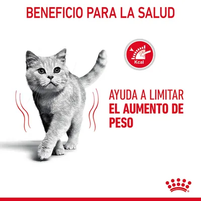 Texto: Beneficio para la salud. Ayuda a limitar el aumento de peso. Icono de calorías (Kcal). Imagen de un gato gris caminando. Logotipo de Royal Canin en la esquina inferior derecha.