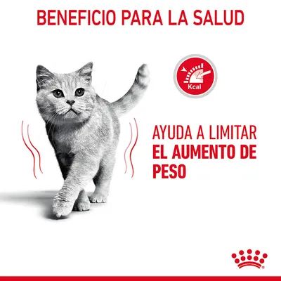 Beneficio para la salud. Ayuda a limitar el aumento de peso. Icono con medidor y texto Kcal. Imagen de un gato gris caminando. Marca Royal Canin visible en la parte inferior.