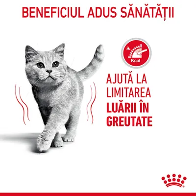 Beneficiul adus sănătății. Ajută la limitarea luării în greutate. Pictogramă cu indicator de calorii (Kcal). Text și grafică vizibile pe imagine.