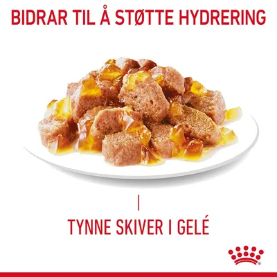 Royal Canin Light Weight Care i gelè