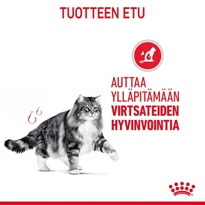 TUOTTEEN ETU. AUTTAA YLLÄPITÄMÄÄN VIRTSATEIDEN HYVINVOINTIA