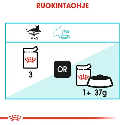 Ruokintaohje 4 kg kissalle: 3 annospussia tai 1 annospussi ja 37 g kuivaruokaa. Vesi tarjolla. Kuvassa Royal Canin -pussit ja ruokakuppi.