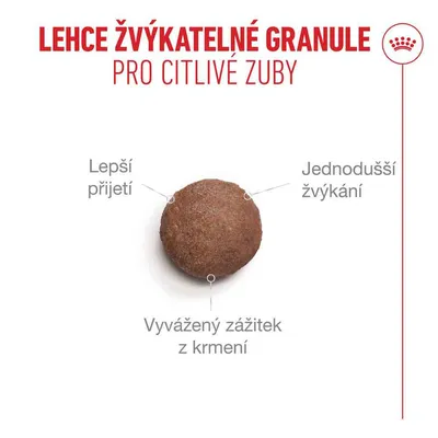 Royal Canin Ageing 11+