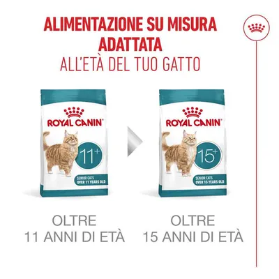 Royal Canin Ageing 11+