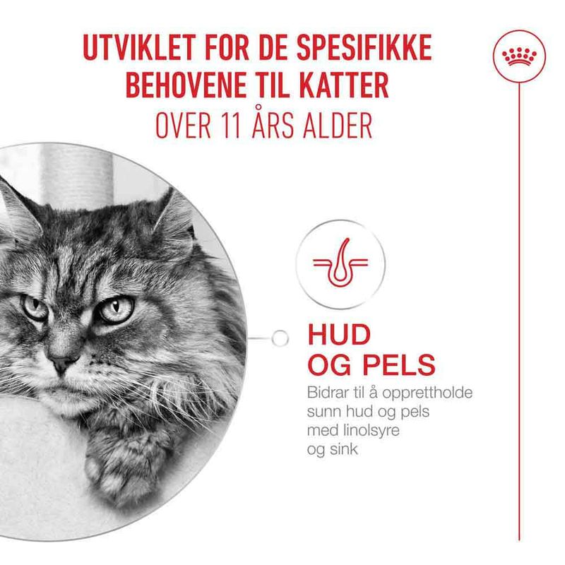 Royal Canin Ageing 11+ i saus
