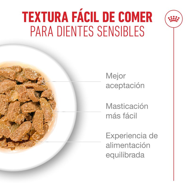 Royal Canin Ageing 11+ en salsa