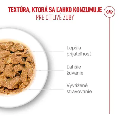 Royal Canin Ageing 11+ v želé
