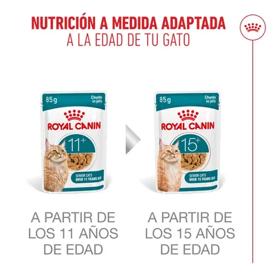 Royal Canin Ageing 11+ en gelatina