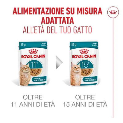 Royal Canin Ageing 11+ in Gelatina