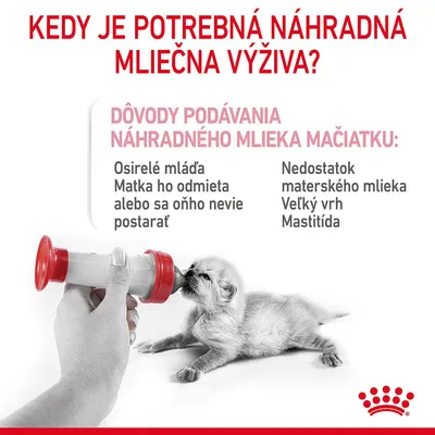 Royal Canin Babycat Milk