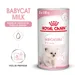 Royal Canin Babycat Milk leche de sustitución para gatitos