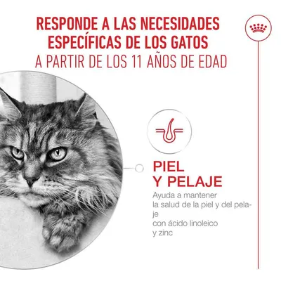 Royal Canin Ageing 11+ Mousse