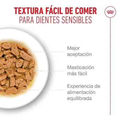 Royal Canin Ageing 15+ en salsa