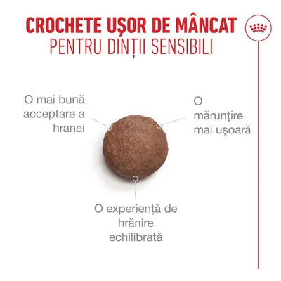 Royal Canin Ageing 15+ Royal Canin Ageing 15+